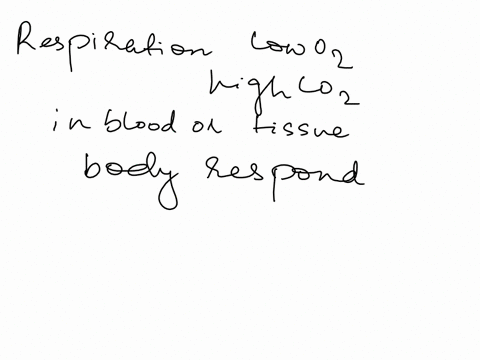 how-does-the-body-respond-to-low-oxygen-or-increased-carbon-dioxide-in-the-blood-stream-or-tissue-27165