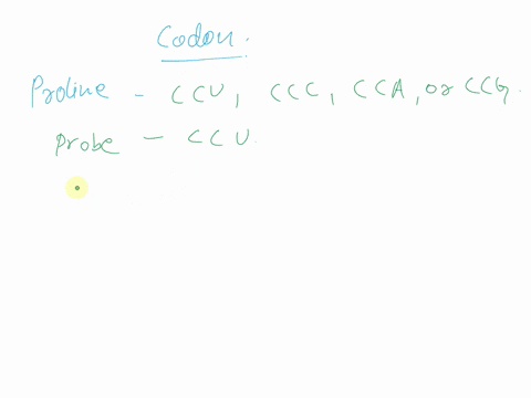 in-chapter-30-there-an-example-showing-particular-sequence-of-amino-acids-and-how-they-can-be-used-to-make-n-oligonucleotide-probe-__-let-say-proline-added-to-this-sequence-as-the-fifth-amin-94291