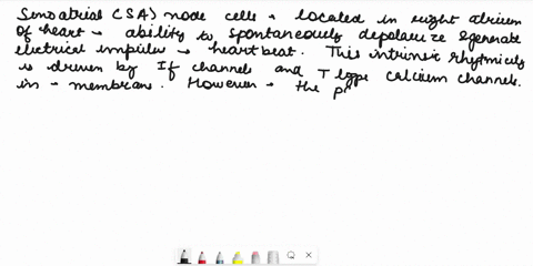 sinoatrial-node-cells-a-exhibit-spontaneous-depolarization-that-is-speeded-by-activation-of-their-cholinergic-receptors-b-are-in-between-atrial-muscle-cells-and-cells-of-bundle-of-his-c-exhi-00996