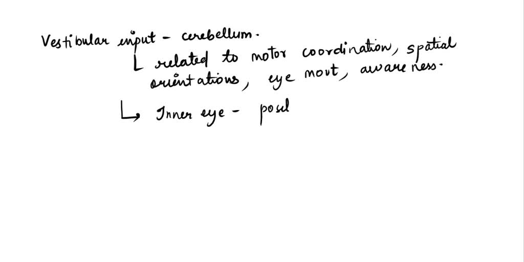 SOLVED Vestibular input to the cerebellum provides Multiple Choice