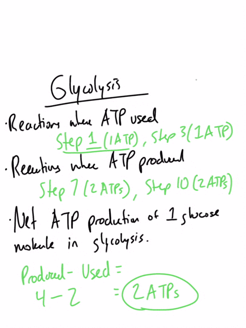 refer-to-your-chart-of-glycolysis-there-are-10-reactions-in-glycolysis-in-which-reactions-is-atp-hydrolyzed-just-state-the-reaction-numbers-in-which-reactions-is-atp-synthesized-what-is-the-40766