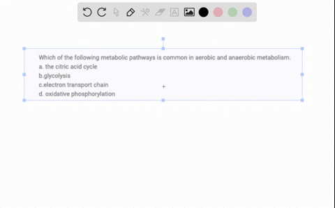 which-of-the-following-metabolic-pathways-is-common-in-aerobic-and-anaerobic-metabolism-a-the-citric-acid-cycle-bglycolysis-celectron-transport-chain-d-oxidative-phosphorylation-05418