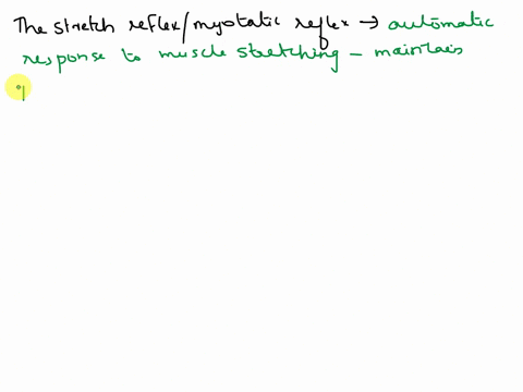 define-the-term-stretch-reflex-and-describe-how-such-reflexes-are-used-to-anatomically-localize-sci-11105