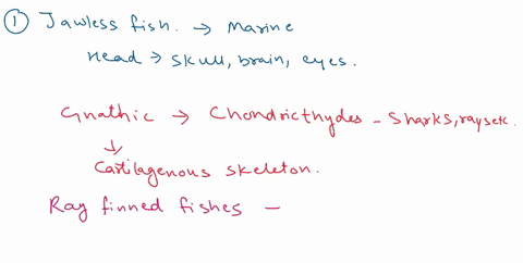 1-discuss-the-evolutionary-changes-and-adaptations-that-occurred-in-the-fishes-start-with-jawless-fish-hagfish-and-end-with-the-lungfish-42-page-limit-2-discuss-why-the-vertebrates-have-been-05476