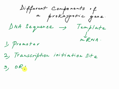 hm-practice-qucstions_modulc-iii_topic-iii-5-points-cach-based-on-bene-structute-prokaryotic-genes-design-bene-with-the-following-elements-label-both-ends-of-the-dna-and-define-the-coding-an-81453