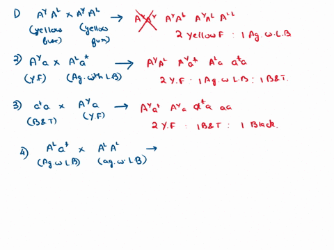 there-are-five-alleles-for-gene-determining-coat-color-in-mice_-these-alleles-are-shown-in-the-table-in-decreasing-order-of-dominance-give-the-coat-colors-of-both-parents-and-the-ratio-of-ph-73254