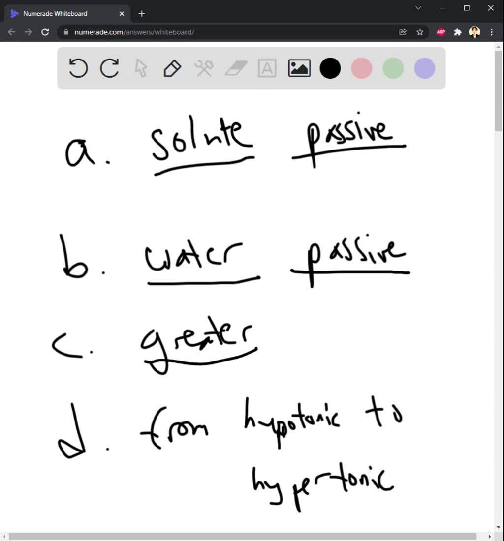 solved-passive-transport-active-transport-diffusion-facilitated