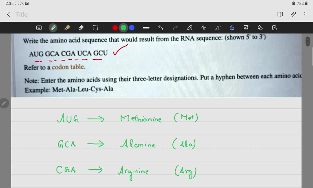 SOLVED Write the amino acid sequence that would result from the RNA