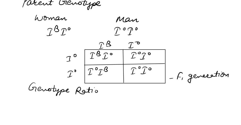 solved-1-a-woman-homozygous-for-blood-type-b-marries-a-man-that-is