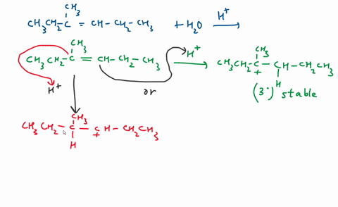 which-structure-correctly-represents-the-major-pro_-which-structure-correctly-represents-the-major-product-of-the-following-reaction-ch-chch-cif-ch-ch-ho-cl-chch-cl-ch-chchcfcl-cl-ch-chch-ch-32106
