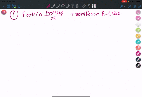 if-avery-macleod-and-mccarty-had-determined-that-the-transforming-molecule-was-protein-what-experimental-results-would-have-been-observed-heat-killed-strain-cultures-treated-with-dnase-would-62905