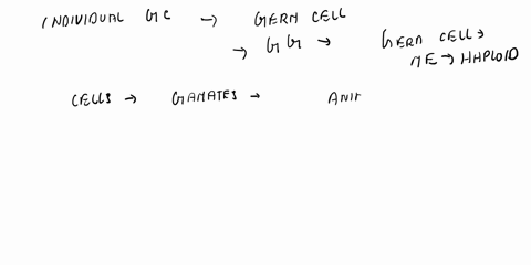 5gametogenesis-or-the-formation-of-gametes-occurs-when-diploid-germ-cells-undergo-meiosis-in-fruit-flies-drosophila-melanogaster-diploid-germ-cells-contain-eight-chromosomes-which-of-the-fol-69852