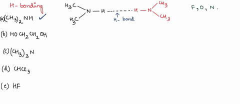 which-of-the-compounds-listed-below-are-capable-of-forming-hydrogen-bonds-between-their-molecules-choose-one-or-more-ch3znh-hochzchzoh-ch33n-chci3-hf-75875