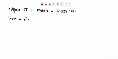 match-each-connective-tissue-to-the-best-description-of-its-structure_-adipose-ct-choose-sparse-matrix-with-closely-packed-cells-extensive-matrix-with-lots-ol-different-cell-types-semi-solli-86521