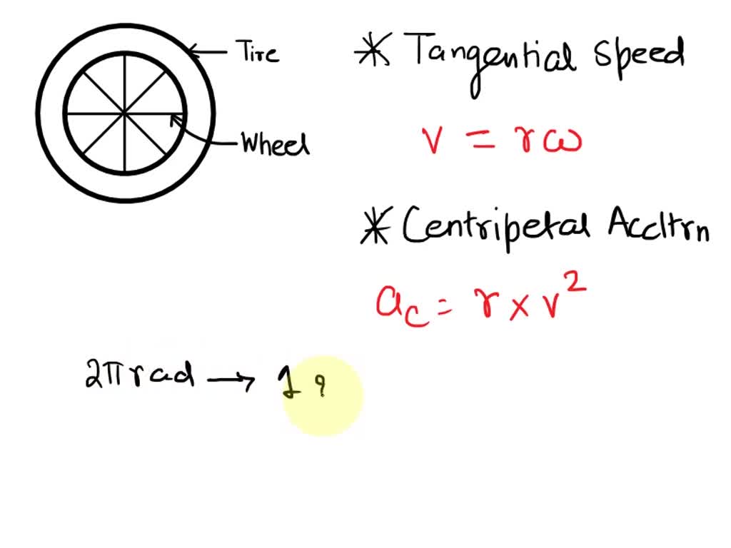 solved-j-want-i5-one-probably-1-w-v-v-cells-and-i-of-the-cells-are