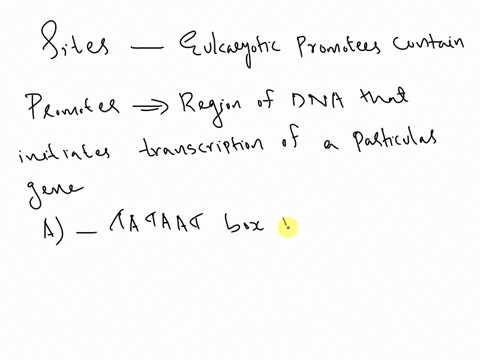 among-the-significant-sites-that-many-eukaryotic-promoters-contain-are-a-a-tataat-box-near-10-d-a-and-b_-b-a-tata-site-near-30-to-100-e-b-and-c-c-a-gc-rich-region-near-10-72576