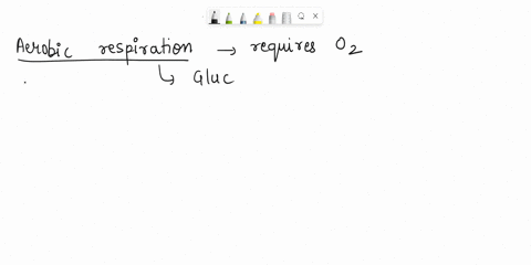 the-complete-conversion-of-glucose-in-the-presence-of-oxygen-into-carbon-dioxide-and-water-with-release-of-energy-is-called-a-glycolysis-b-anaerobic-respiration-c-aerobic-respiration-d-hydro-50209