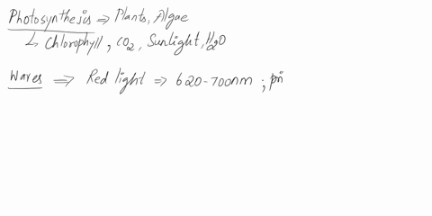 what-three-wavelengths-of-light-are-most-important-for-photosynthesis-56408