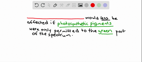 if-the-absorption-spectrum-of-photosynthetic-pigments-was-restricted-to-the-green-portion-of-the-spectrum-which-pigment-or-pigments-would-be-affected-the-least-a-carotenoids-b-chlorophyll-a-c-chloro-2