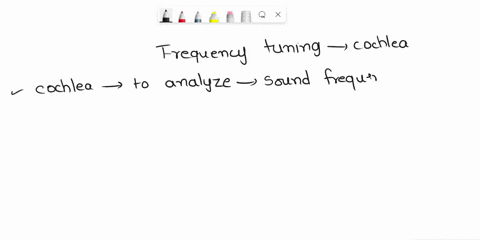 1-select-all-that-apply-which-of-the-following-statements-are-true-about-frequency-tuning-in-the-cochlea-group-of-answer-choices-a-organs-of-corti-near-the-apex-of-the-cochlea-detect-low-fre-28648