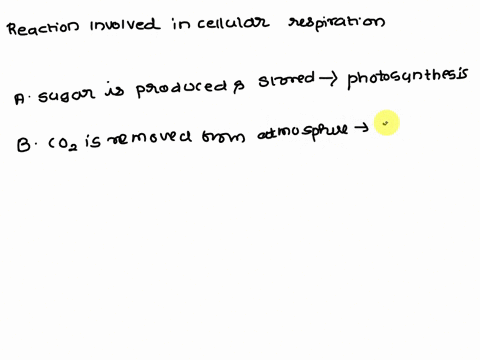 which-statement-describes-the-reaction-involved-in-cellular-respiration-a-sugar-is-produced-and-stored-until-it-is-needed-for-energy-b-co2-is-removed-from-the-atmosphere-and-o2-is-released-i-72553