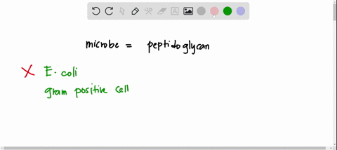 you-discover-new-microbe-that-contains-peptidoglycan-based-on-this-information-the-most-logical-conclusion-you-can-draw-about-the-organism-is-that-it-is-closely-related-to-e-coli-is-a-bacter-53359