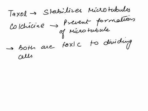 the-drug-taxol-extracted-from-the-bark-of-yew-trees-has-an-opposite-effect-to-the-drug-colchicine-2-37604