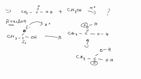 1write-the-equation-representing-the-esterification-reaction-between-acetic-acid-and-methanol-2-what-compound-is-used-as-a-catalyst-in-aspirin-synthesis-3-which-functional-group-of-the-salic-69467