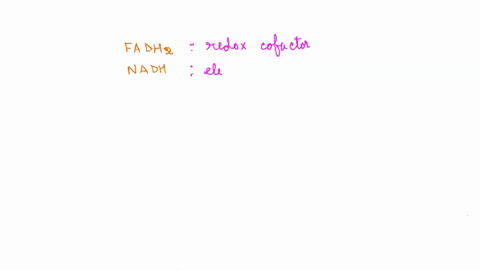 what-role-do-nadh-and-fadh2-serve-in-catabolism-nadh-and-fadhz-are-electron-carriers-nadh-and-fadhz-donate-electrons-to-oxygen-nadh-and-fadhz-donate-electrons-to-atpase-atp-synthase-nadh-and-08158