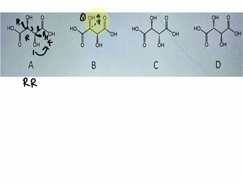consider-the-following-4-molecules-oh-oh-oh-ho-ho-ho-oh-oh-oh-8-ho-oh-a-b-c-d-complete-the-table-below-describing-the-isomeric-relationships-between-these-molecules3-marks-molecules-relation-36199
