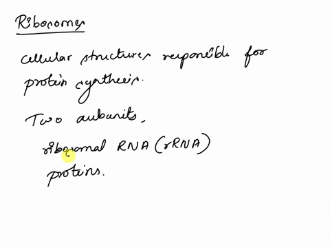 which-of-the-following-nucleic-acids-is-a-component-of-ribosomes-a-ribosomal-rna-b-transfer-rna-c-messenger-rna-d-dna-47488