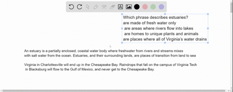 plase-hurrywhich-phrase-describes-estuaries-are-made-of-fresh-water-only-are-areas-where-rivers-flow-into-lakes-are-homes-to-unique-plants-and-animals-are-places-where-all-of-virginias-water-64932