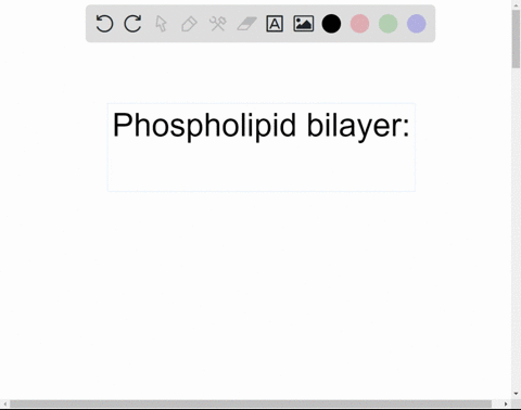 how-does-the-structure-of-the-cellular-membrane-prevent-free-passage-across-the-membrane-into-the-cell-phospholipid-bilayer-has-proteins-that-regulate-transport-of-all-materials-across-the-m-52414