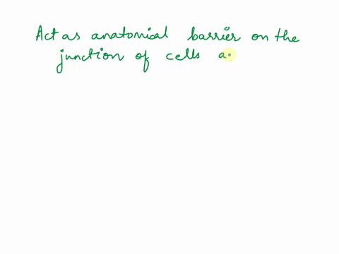 5-what-is-the-function-of-the-basement-membrane-based-on-cell-shape-epithelial-tissues-can-be-divided-into-four-categories-including-isquamous-which-are-thin-and-flat-2cuboidal-which-are-sim-45895