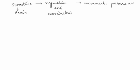 the-structure-that-is-associated-with-regulation-and-coordination-of-movement-posture-and-balance-is-the-portion-of-the-brain-labeled-a-it-is-called-the-a-cerebellum-b-hypothalamus-c-tempora-71975