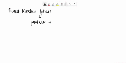 what-is-the-significance-of-the-burst-kinetics-phase-observed-in-the-serine-protease-enzyme-assay-99768