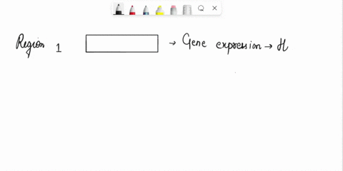 construct-8-absent-absent-what-can-you-conclude-from-these-results-fill-in-the-appropriate-blanks-with-the-following-choices-enter-the-number-for-region-the-number-2-for-region-2-the-number-32376