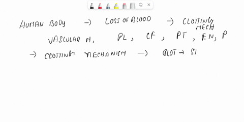 what-cells-are-necessary-for-vessel-repair-and-clotting-neutrophils-thrombocytes-lymphocytes-erythrocytes-87315