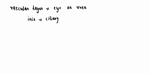 describe-the-vascular-layer-of-the-eye-75323