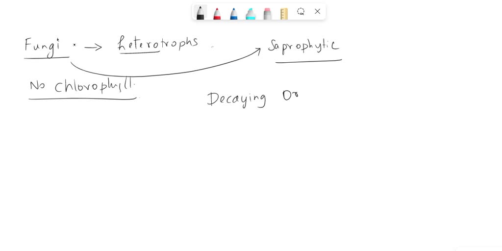 SOLVED 14. Exactly how do fungi obtain energy and, how does it get
