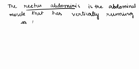 17-which-abdominal-muscle-has-fibers-that-run-vertically-a-external-oblique-b-internal-oblique-c-transversus-abdominis-d-rectus-abdominis-18-what-is-another-name-for-a-bruise-which-is-caused-58753