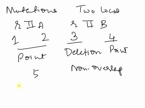 mutations-in-rllb3-isa-deletion-mutation-and-4-is-a-point-mutation-mutant-5-is-a-deletion-that-overlaps-mutants-2-and-3-but-does-not-overlap-mutants-1-and-4-mutant-5will-fail-to-complement-w-93213