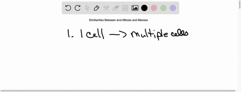 3-describe-two-2-parts-of-meiosis-that-are-similar-to-mitosis