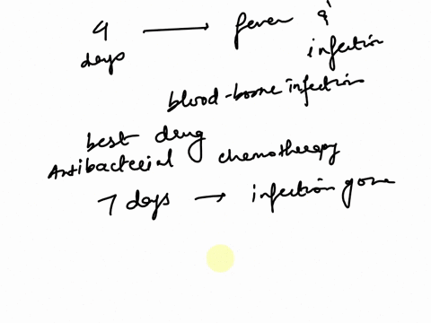 a-patient-in-the-hospital-has-an-intravenous-catheter-inserted-to-allow-for-the-delivery-of-medications-fluids-and-electrolytes-four-days-after-the-catheter-is-inserted-the-patient-develops-99702