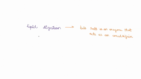which-statement-about-lipid-digestion-is-false-question-15-options-gastric-lipase-is-responsible-for-only-a-small-amount-of-fat-digestion-when-fat-enters-the-small-intestine-it-triggers-the-45876