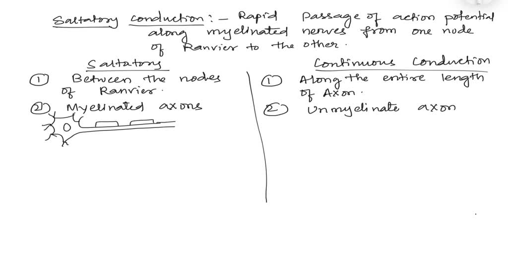 SOLVED: 3. Describe continuous and saltatory conduction including ...