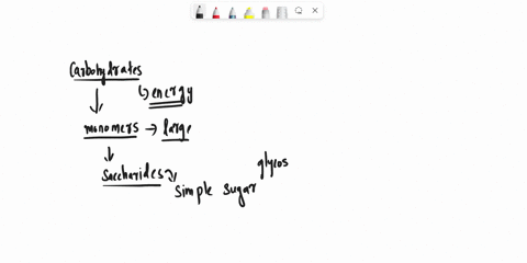 which-of-the-following-is-not-a-carbohydrate-a-cellulose-b-lipids-c-monosaccharides-d-starch-39773