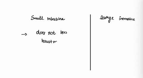 describe-three-of-the-differences-between-the-walls-of-the-large-and-small-intestines-29198