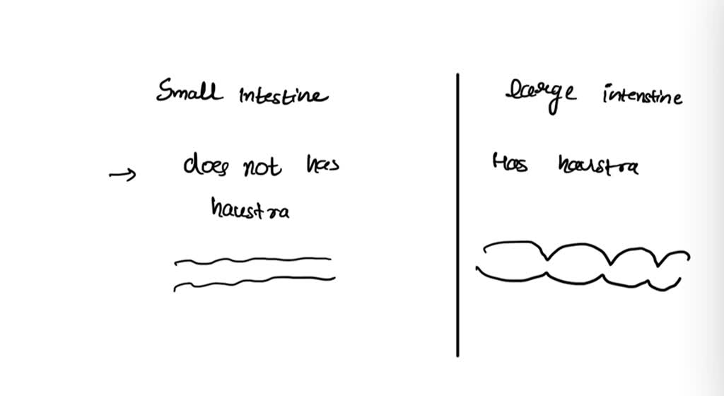 SOLVED In What ways do we build narrow domestic walls around ourselves