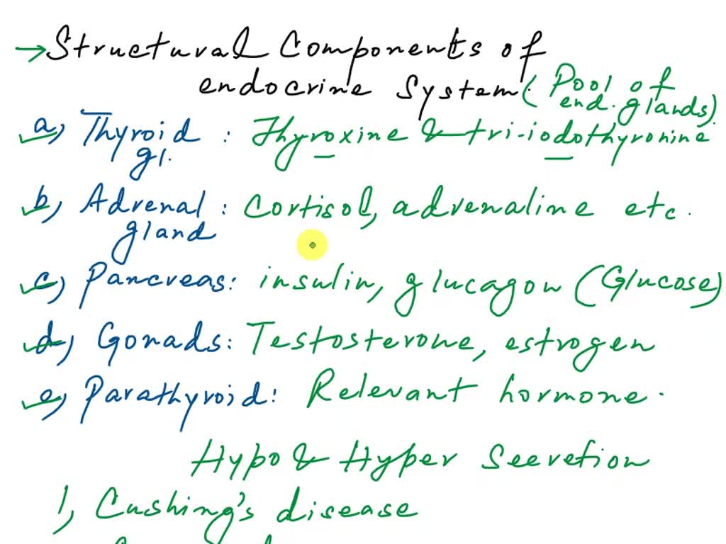 SOLVED: 4. Detail the major endocrine organs, their hormones, and their ... Biology Diagrams